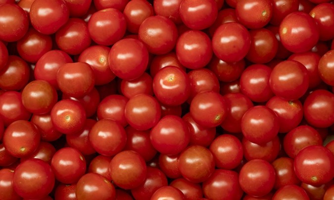 Cherry tomaat Valstar