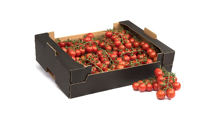 zwarte-doos-tomaten-valstar