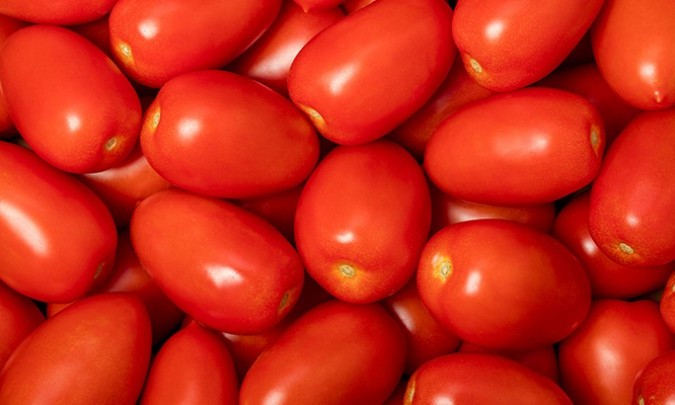 Pruim tomaat Valstar