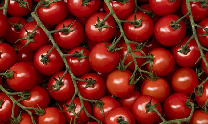 Troscherry tomaat Valstar
