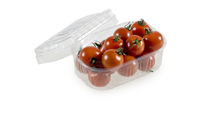 plastic-bakje-tomaten-Valstar