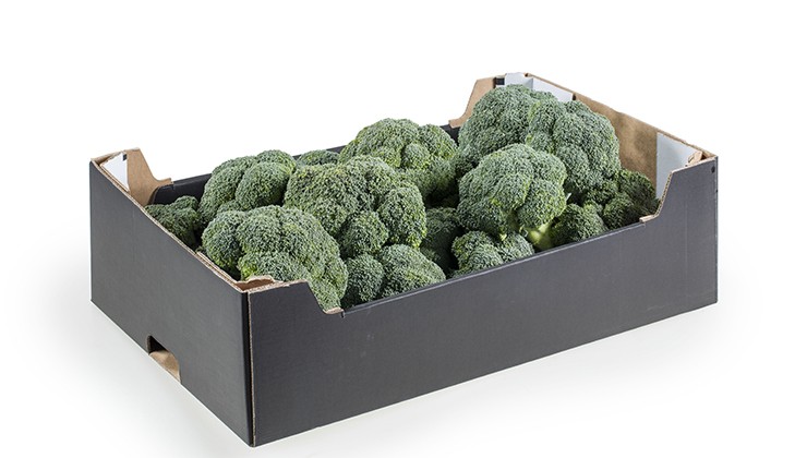 Broccoli zwarte doos